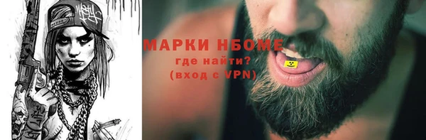 твердый Козельск