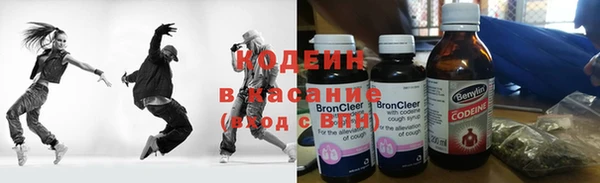 твердый Козельск