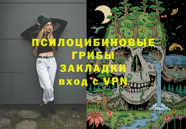 МДМА Козловка