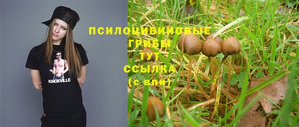 MDMA Кодинск