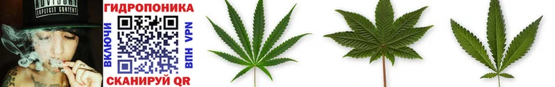 Бошки марихуана LSD WEED  Купить  Сорск 